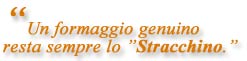 slogan