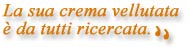 slogan